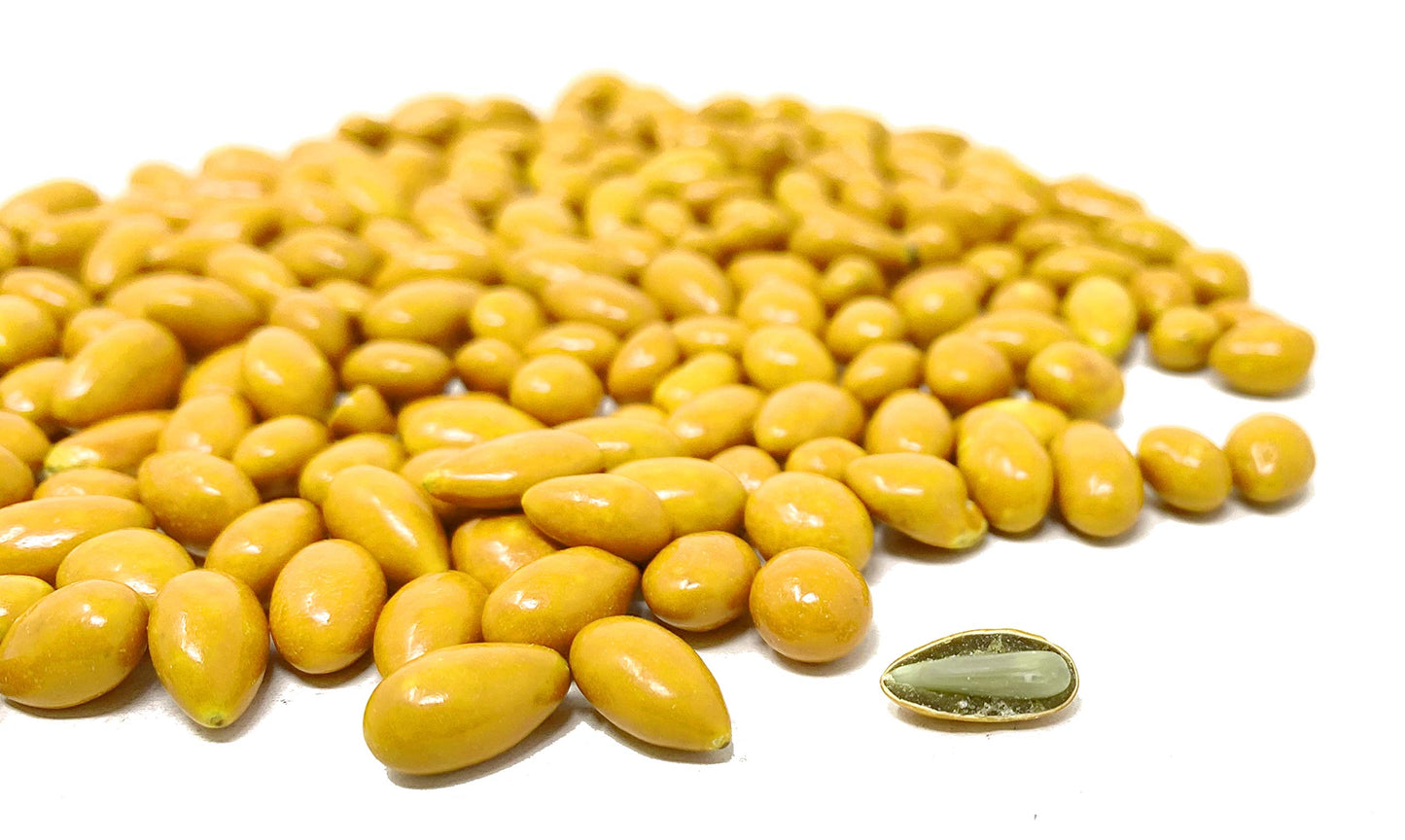Rabbit Creek Sunflower Food Company Yellow Chocolate Covered Sunflower Seeds Bulk Yellow Candy, Yellow Cake and Cupcake Decorati