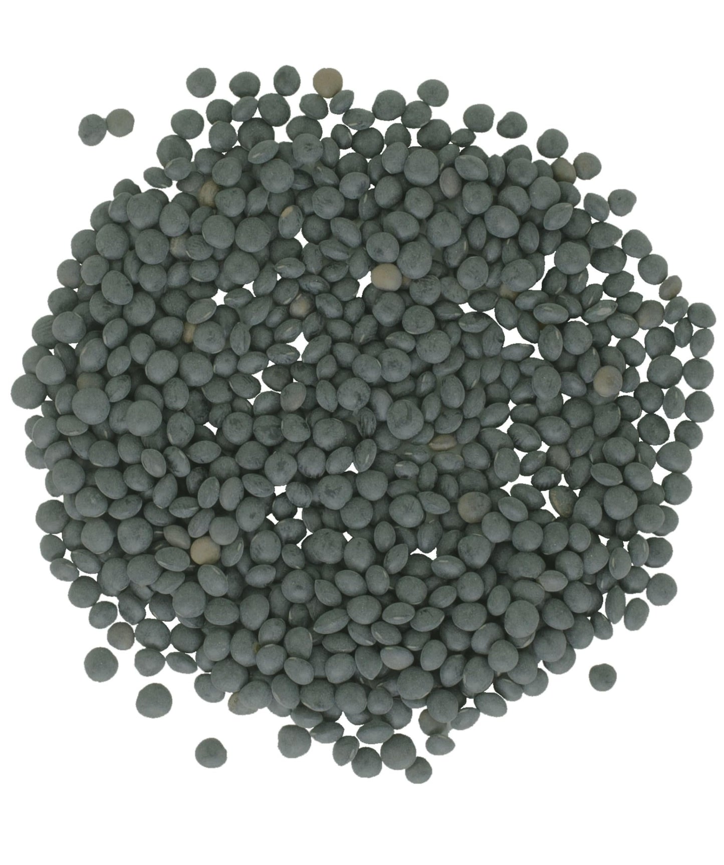 CLEAR CREEK Black Lentils, Non-GMO, Kosher, Vegan, 8 lbs (2-4 lb bags)