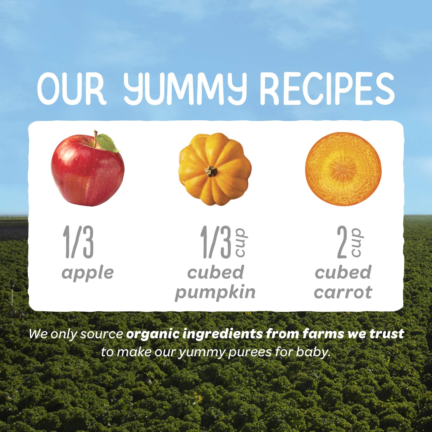 Happy Baby Organics Clearly Crafted Stage 2 Baby Food Apples, Pumpkin & Carrots, 4 Ounce Pouch (Pack Of 16)