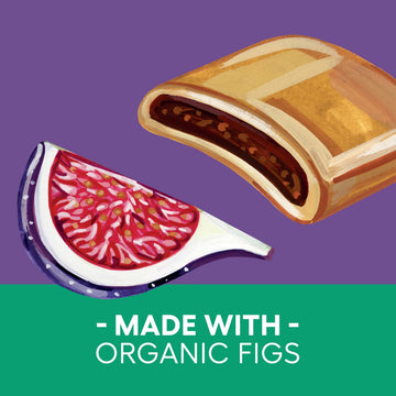 Newman'S Own Plant Based Fig Newmans Cookies - 10 Oz - 6 Pack - Made With Organic Figs