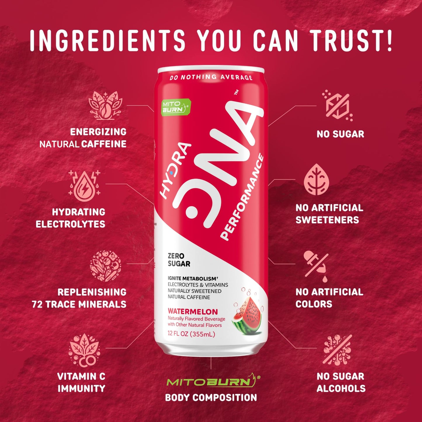 HYDRADNA Clean Performance Drink, Zero Sugar, 120 mg Organic Caffeine, Watermelon, 12 Fl Oz (Pack of 12)