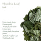 Hazelnut Leaf Tea - Corylus Avellana - Hazelnut Tea Hazel Nuts