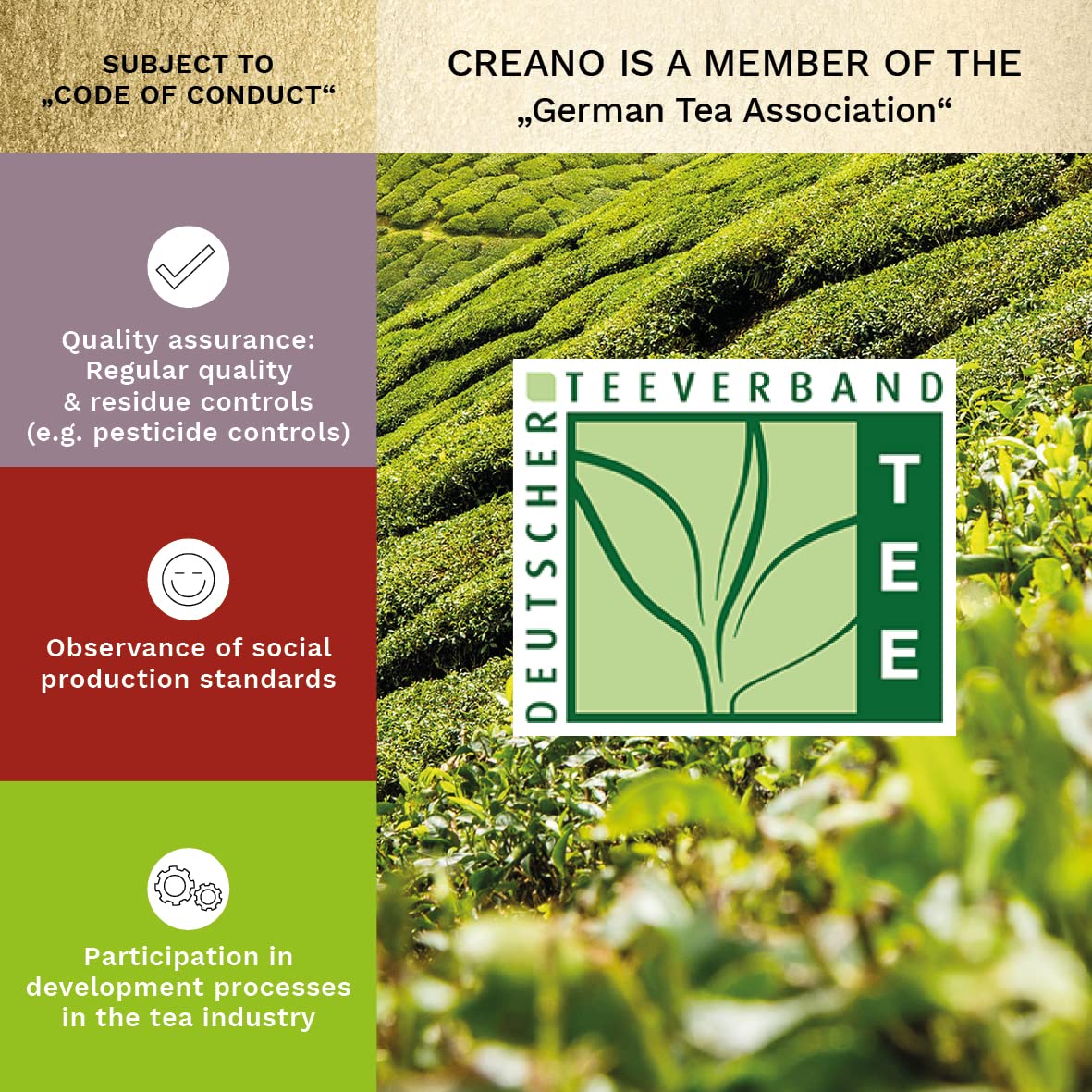 Creano Blooming Tea Gift Set with Glass Teapot, 6 Varieties of White, Green & Black Tea, Black, White & Green Color