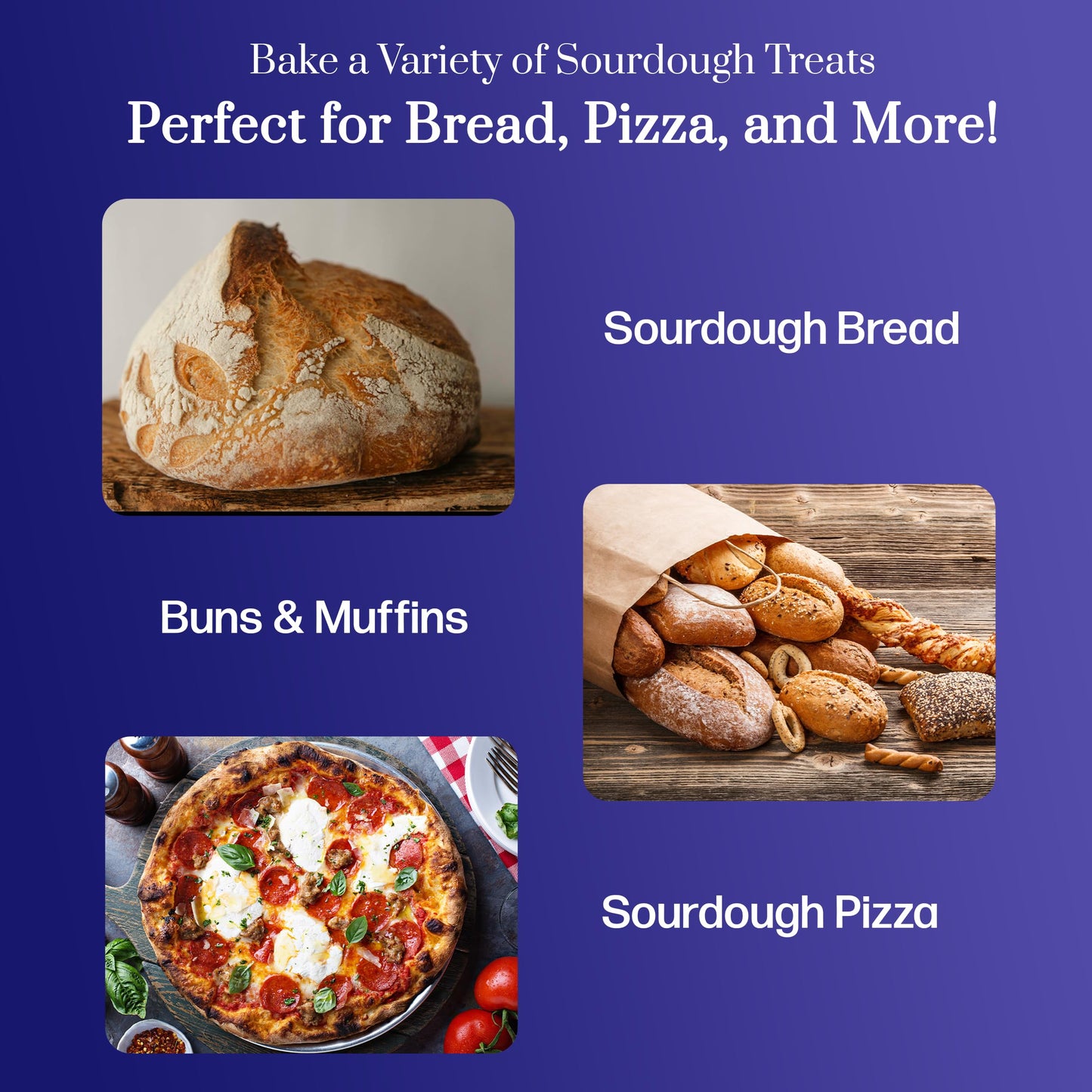Captain Sourpants Dehydrated Sourdough Starter for Bread, Pizza, Buns, Pancakes, Muffins - Easy Instructions