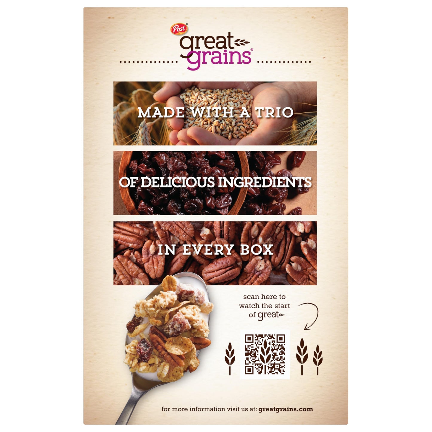 Great Grains Raisins Dates & Pecans Breakfast Cereal  Crunchy Clusters with Sweet Fruit and Whole Grains  Non-GMO  25 oz Box