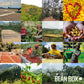 Colombia Sebastian Ramirez Pink spirit-inspired flavor - Roasted by Perc Coffee - Whole Bean Coffee - 2 Pound Bag