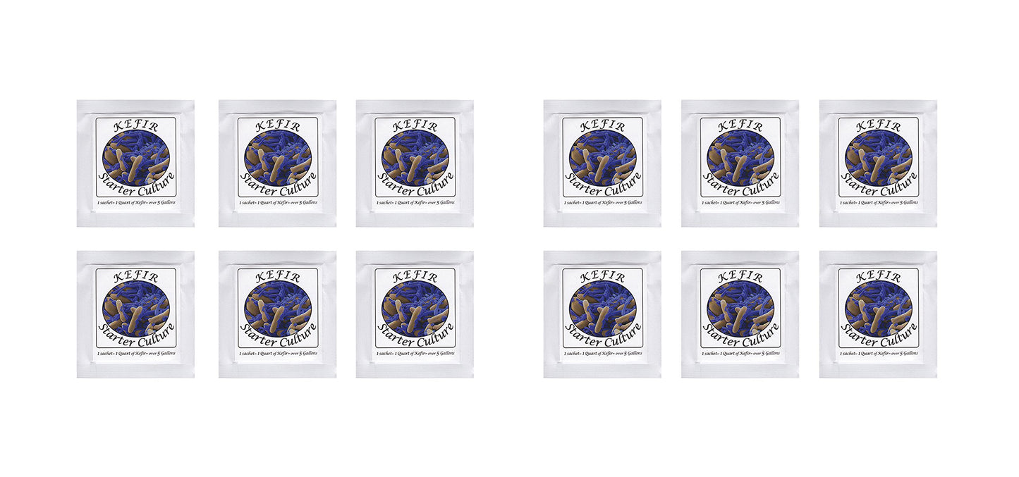 Kefir Starter Culture - Pack of 12 Freeze Dried Sachets (12)
