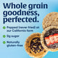 Lundberg Organic Brown Rice Cakes, Lightly Salted, Gluten-Free, Vegan, Healthy Snacks, 8.5 oz (Pack of 6)