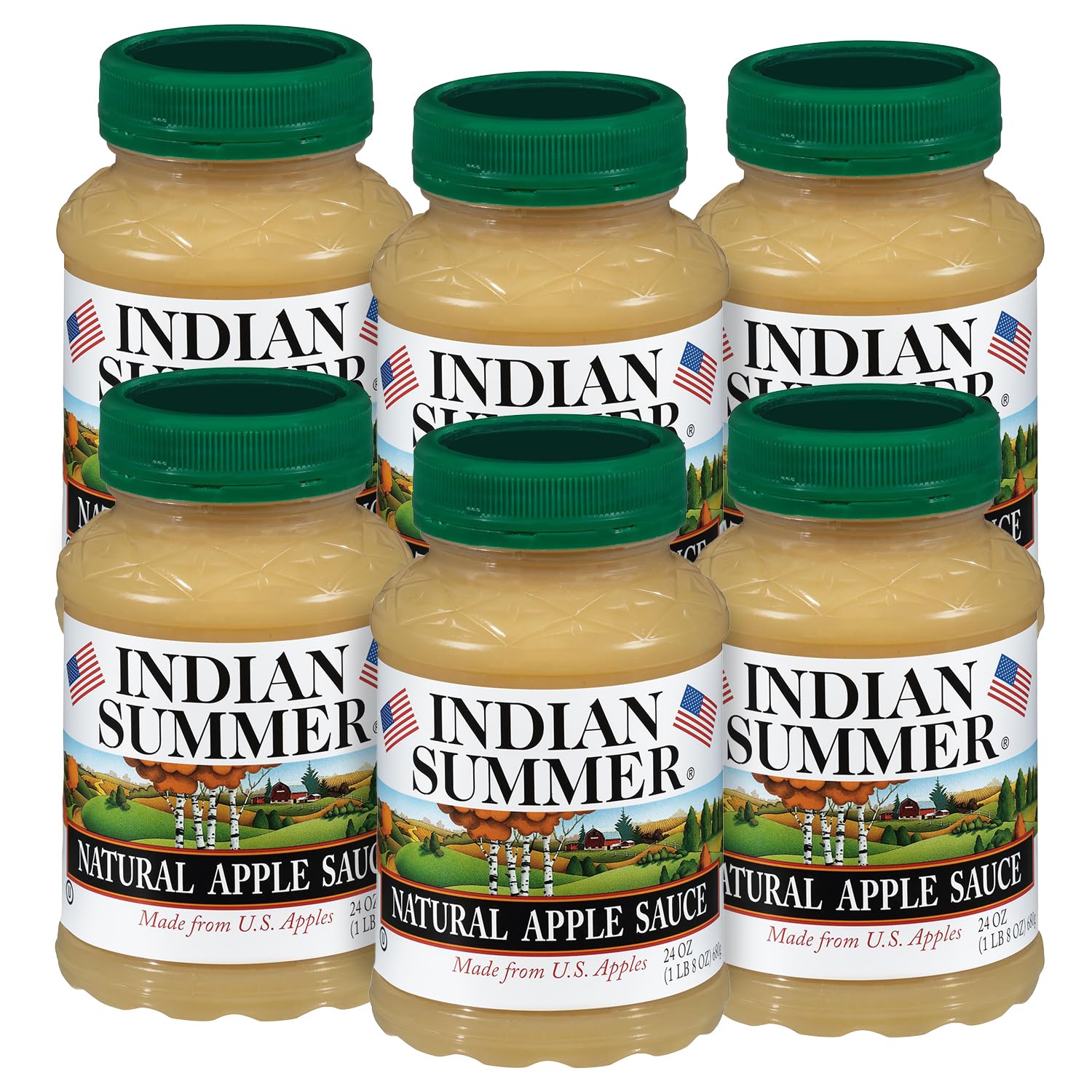 Indian Summer Enhanced Chunky Applesauce Made From Us Apples And American Growers (Natural, 24 Ounces Each, Pack Of 6)