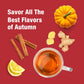 Tiesta Tea - 4 Autumnal Blends | Enhanced Loose Leaf Tea Blend | Non-Caffeinated Tea | Make Hot Or Iced | Pouch Of Pumpkin Spice, Cozy Chai, Chamomile Mint, Meyer Lemon Zest - Pack Of 4