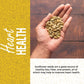 Sunflower Seeds Raw 2Lbs - Unsalted Sunflower Seeds To Eat - Shelled Sunflower Seeds Bulk - Sun Flower Seeds For Eating - Sunflo
