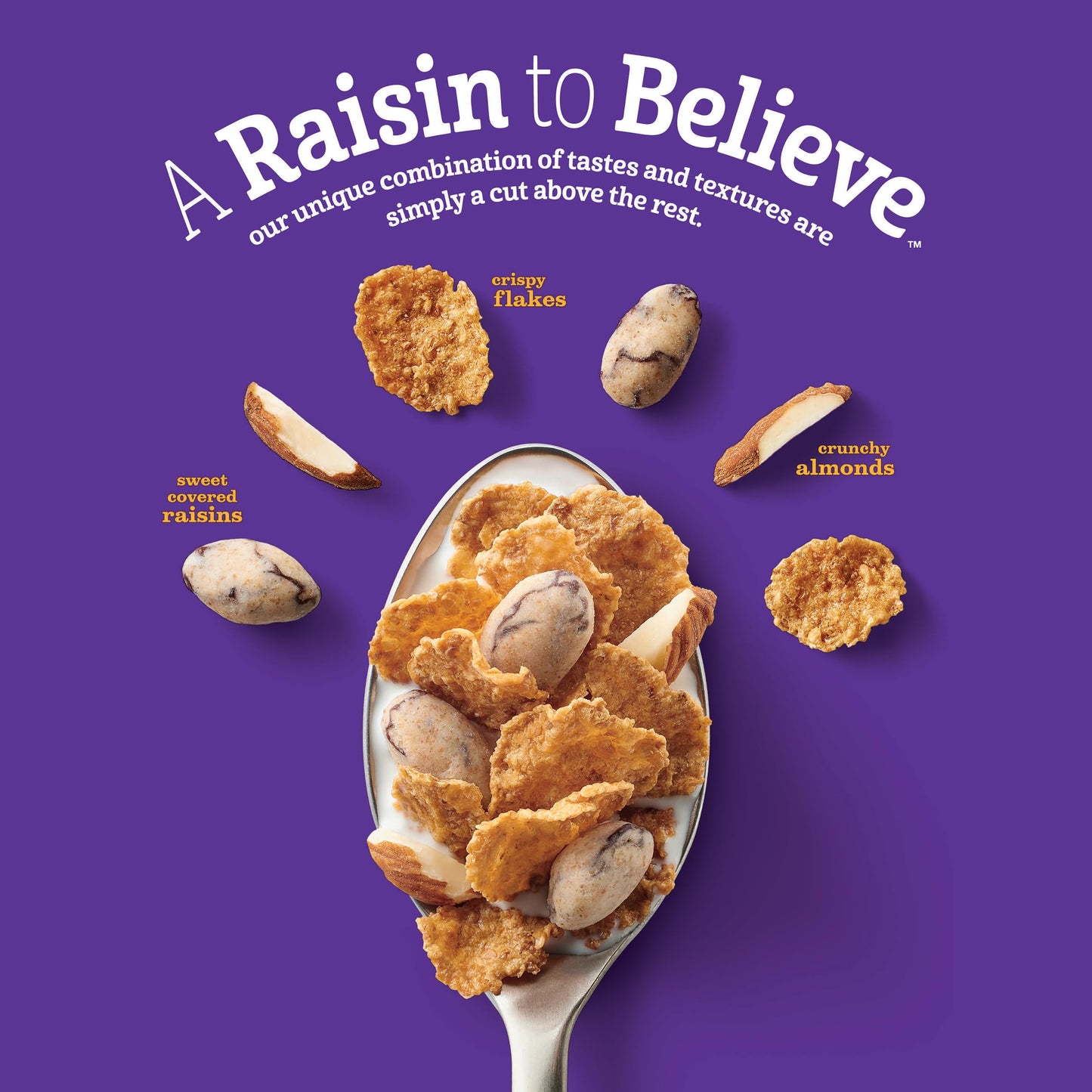 Raisin Nut Bran Cereal, High Fiber Cereal Made With Whole Grain, 20.8 Oz