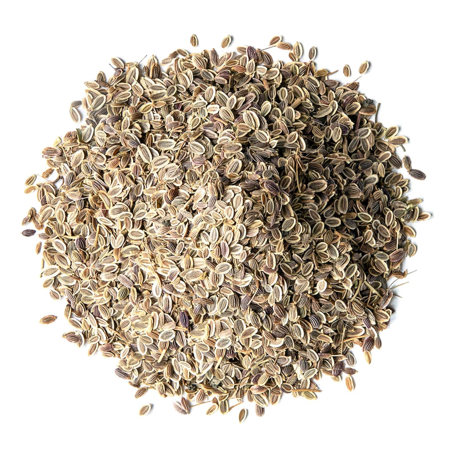 Food To Live - Organic Dill Seeds, 8 Ounces - Whole, Non-Gmo Spice, Non-Irradiated   Seeds, Vegan, Dry, Bulk, High In Dietary Fiber, Calcium, Iron, Copper, Manganese, Magnesium And Zinc