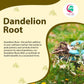 YOGI’S GIFT Dandelion Root Cut and Sifted Loose Root 4 oz - Natural Herbal dietary product