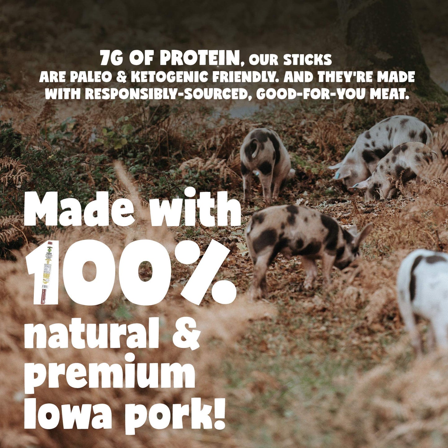 Bbq & Pineapple Natural Pork Meat Sticks, Sogo Snacks, No Nitrates, Gluten, Soy, Msg, Dairy Or Nuts. Pork Used Has No Added Anti
