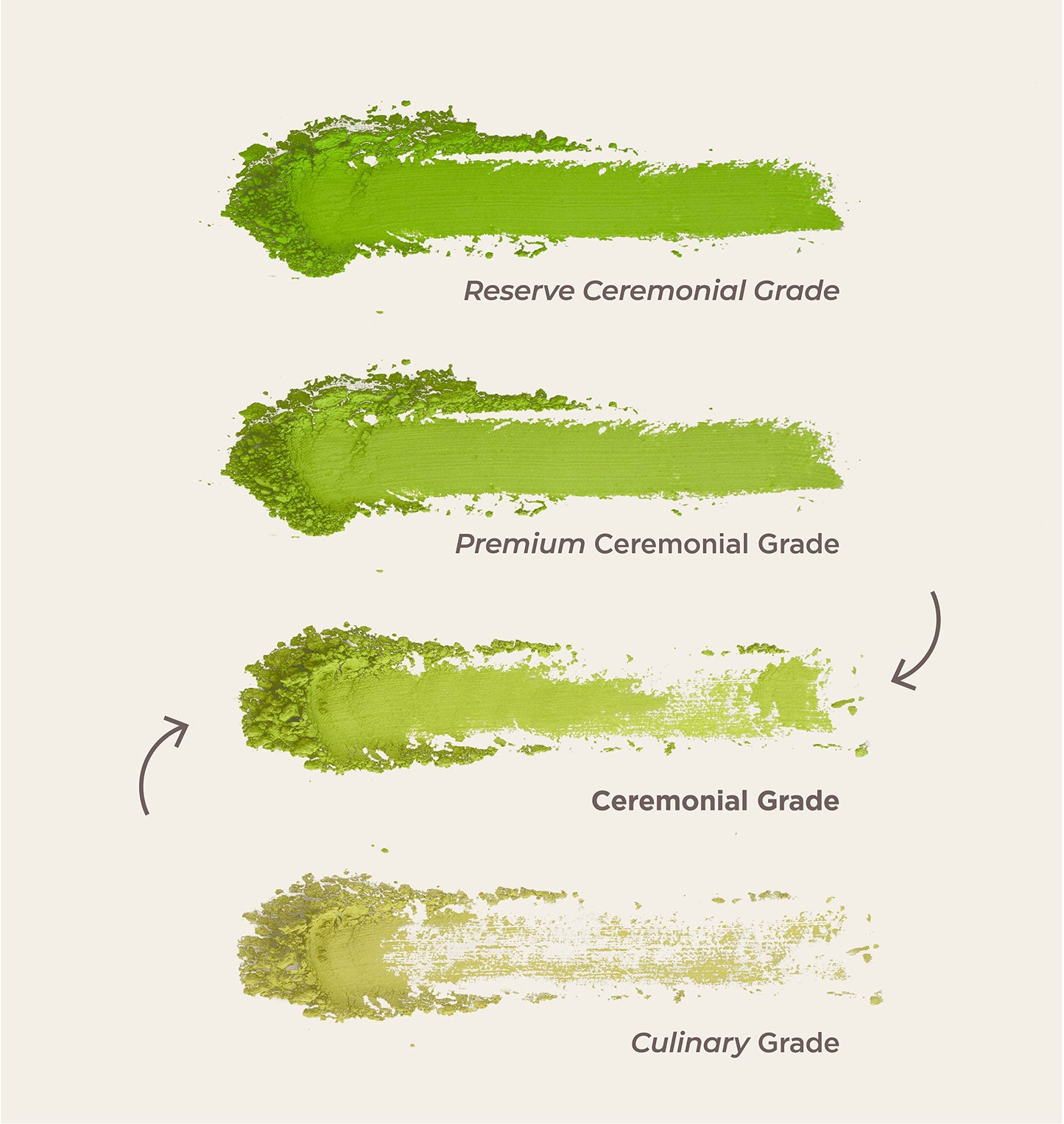 Matcha & CO Organic Matcha Tea Powder - Ceremonial Grade, 1.05 Ounces, Green Color