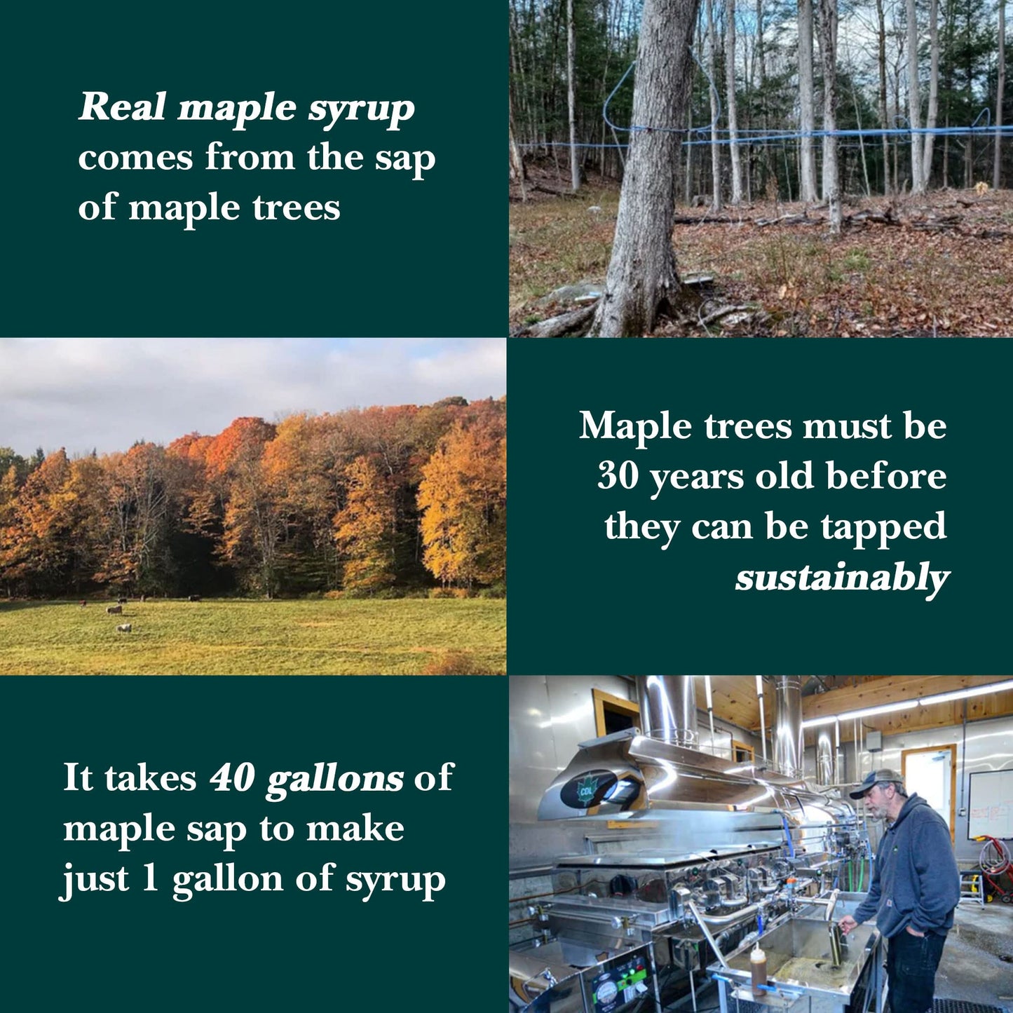 Vermont Maple Syrup - 64 oz Grade A  Amber Rich Organic Maple Syrup - 100% Pure and Authentic Maple Syrup for Pancakes  Waffles and More - Nut free  Gluten Free  Vegan  Paleo