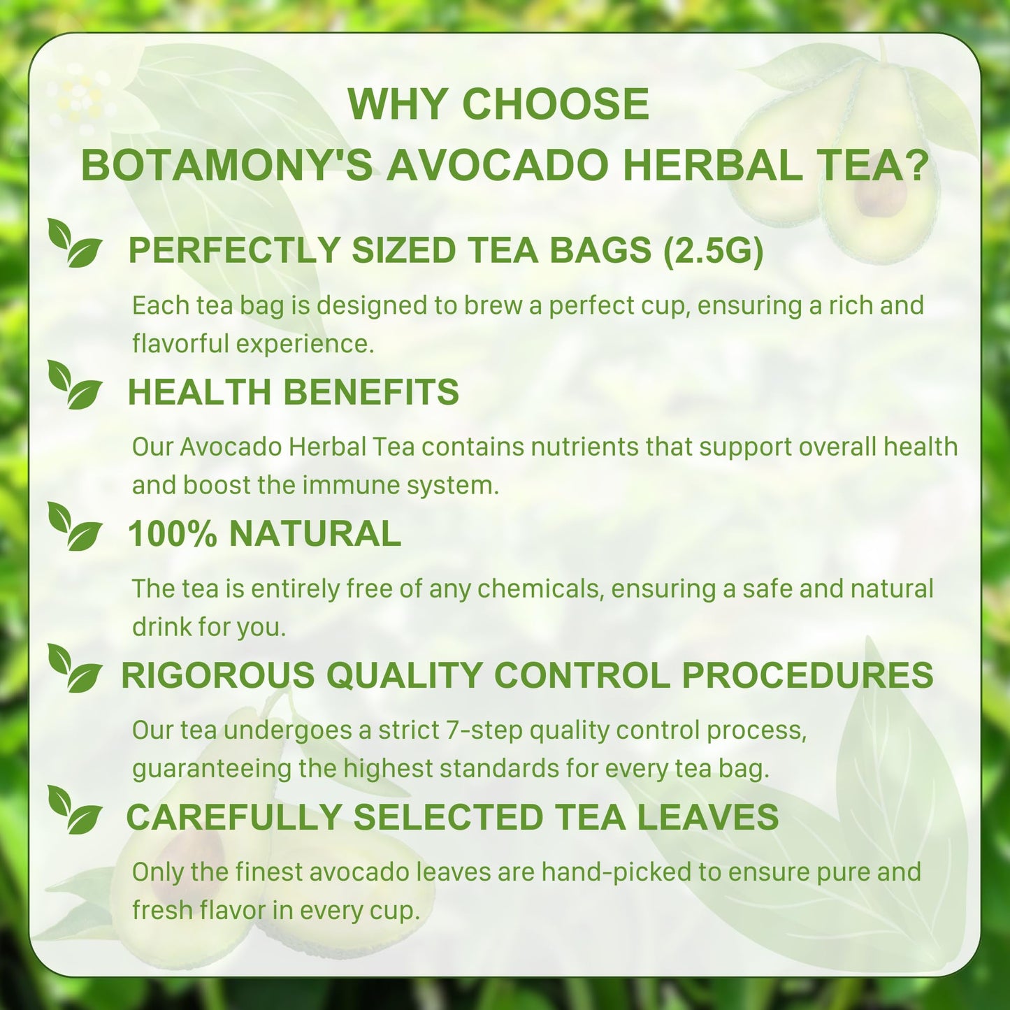 BOTAMONY 65 Premium Avocado Leaf Tea Bags, Organic, Non-GMO, 100% Natural, Caffeine-Free, 2g each