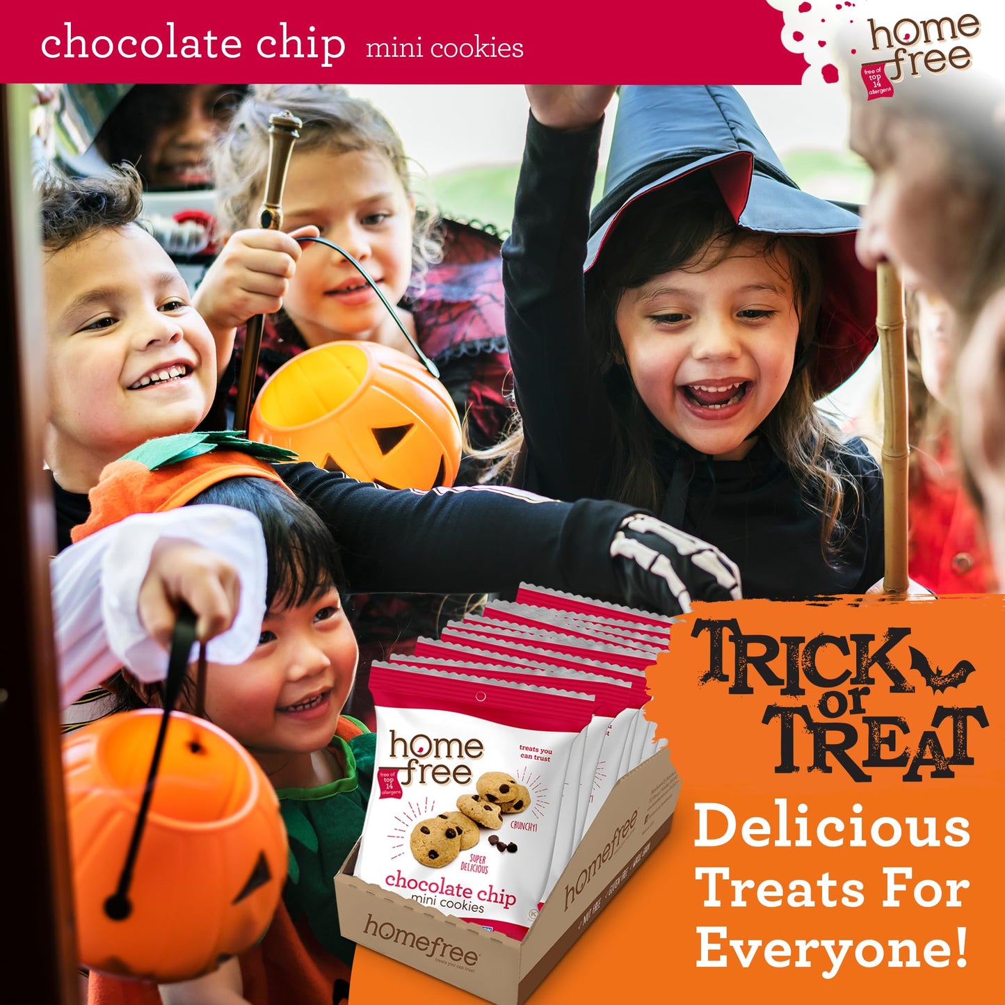 Homefree Treats You Can Trust Gluten Free Mini Cookies, Single Serve, Chocolate Chip, 1.1 Ounce (Pack Of 10)