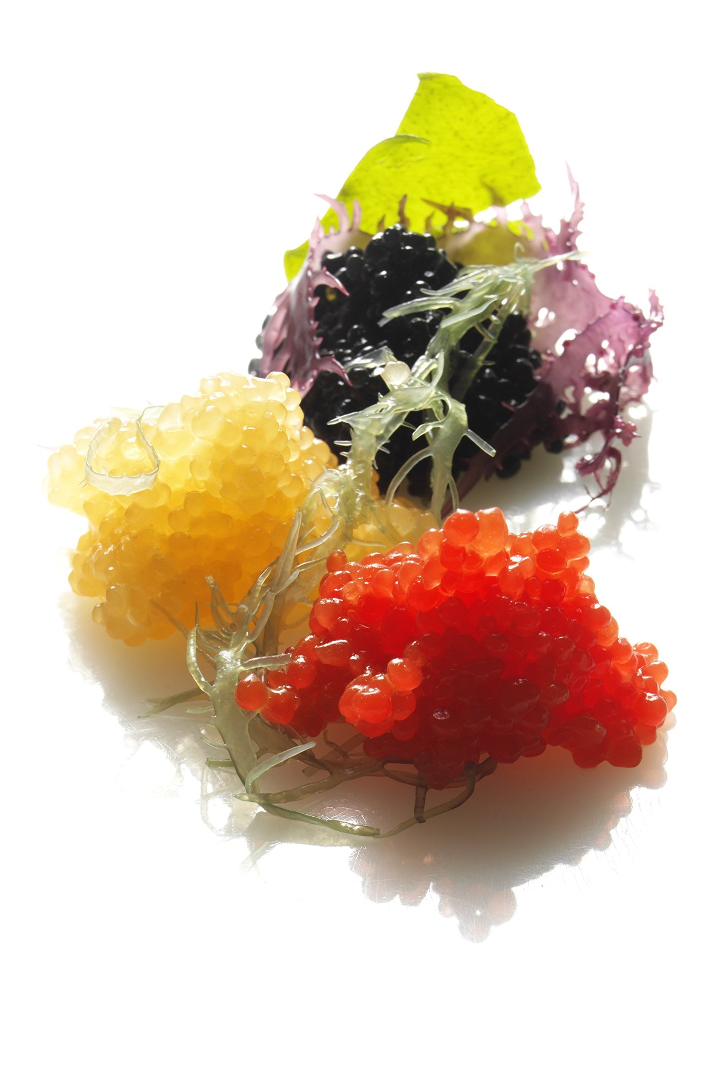 Caviart Award-winning VEGAN Caviar - Black Seaweed Flavor 3.5 oz (Black Caviart)