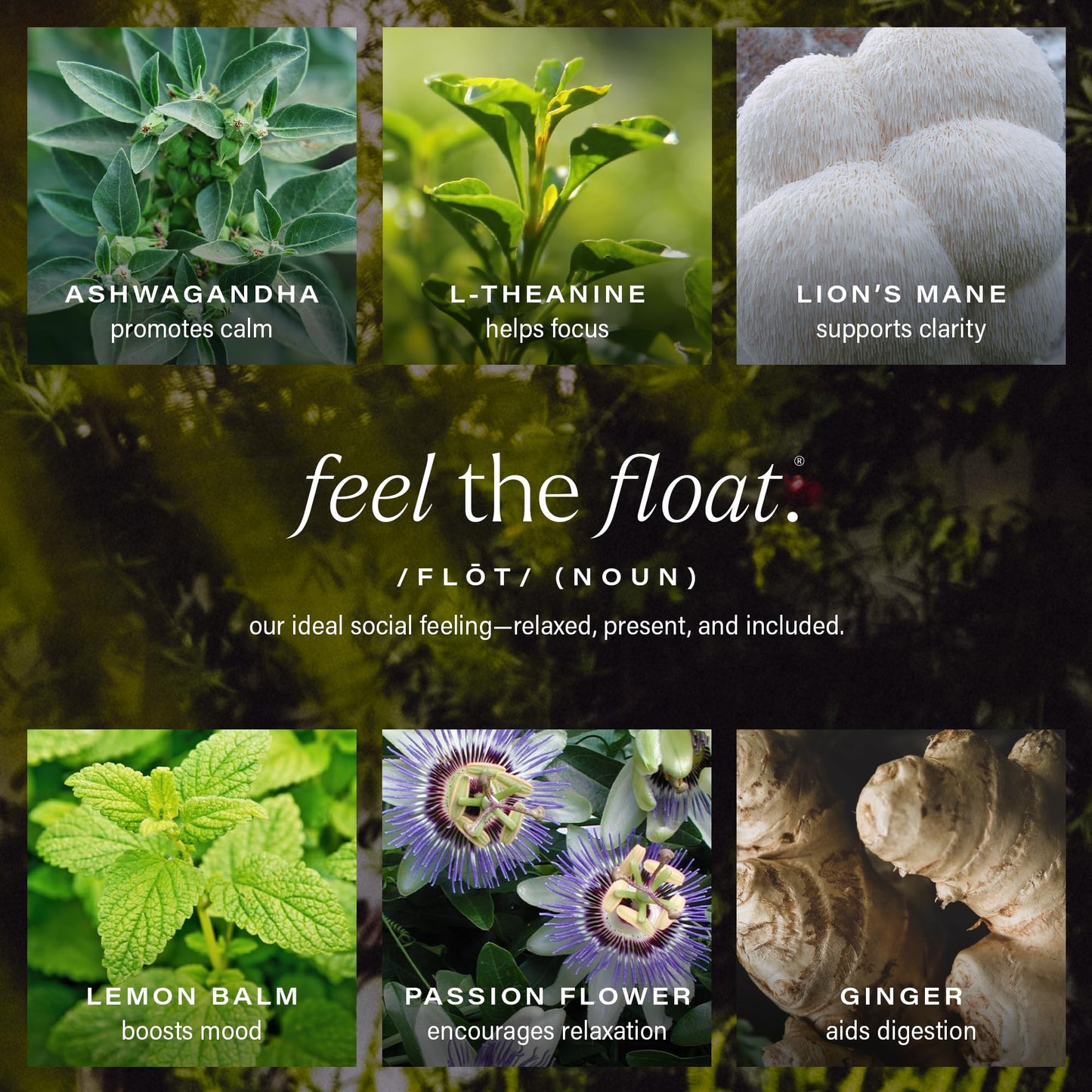 Hiyo Organic Social Tonic - Peach Mango, 12 Pack - N.A. Functional Seltzer, Sparkling Water Crafted With Organic Adaptogens, Noo