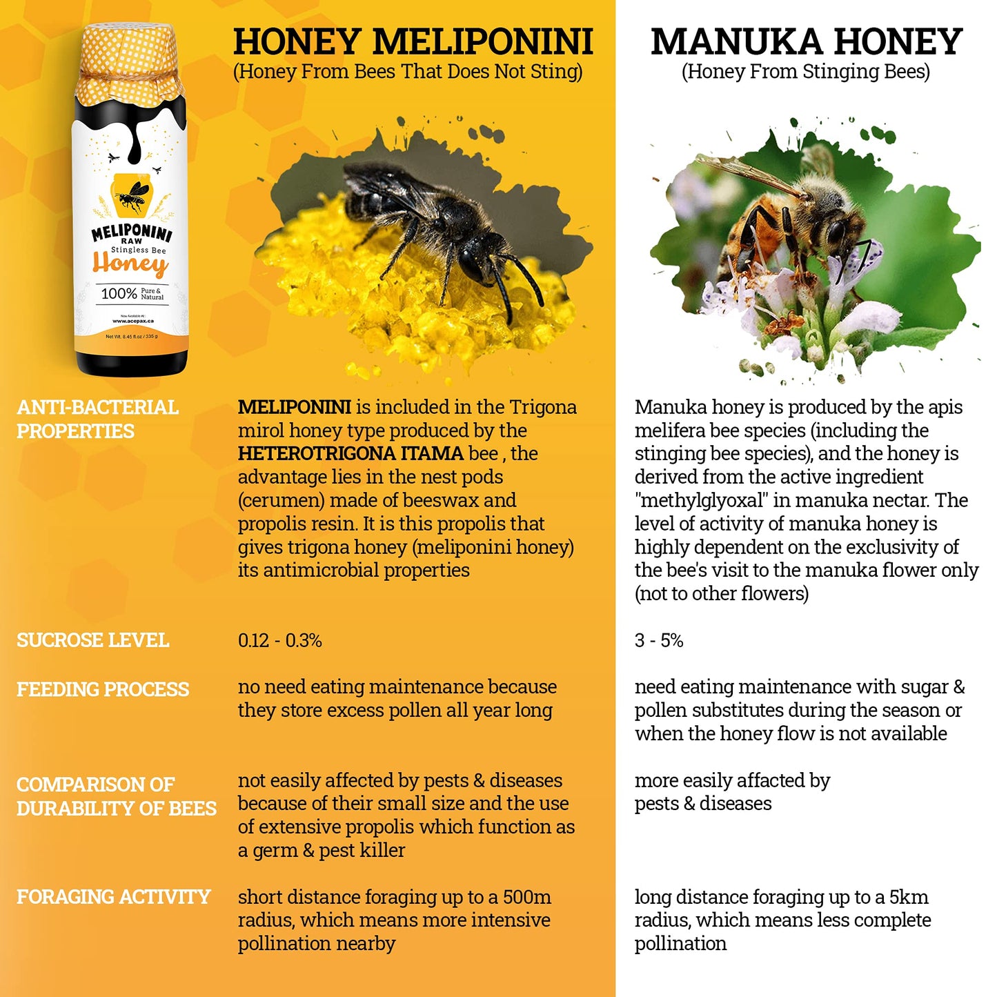 Meliponini - Stingless Bee Honey, Antioxidant-Rich Raw Honey, A Powerful Alternative To Manuka Honey, Tasty Sweet And Sour Pure