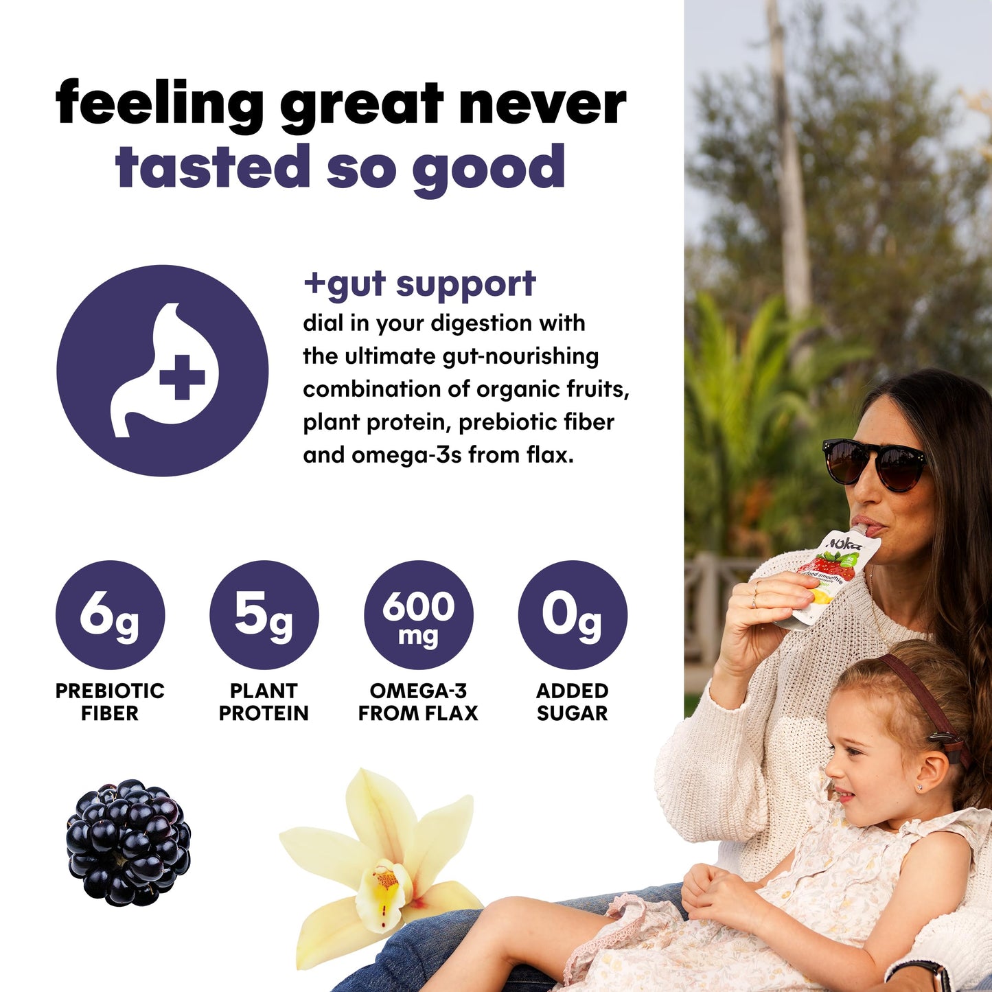 NOKA Superfood Fruit Smoothie Pouches, Blackberry Vanilla, Vegan, Gluten Free, 4.22 oz, Pack of 12