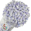 Variety Gourmet Saltwater Taffy (Huckleberry, 1 Pound)