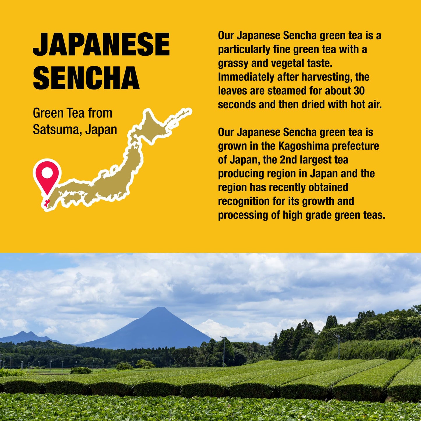 Tiesta Tea Japanese Sencha Loose Leaf Green Tea Bulk Pouch - 16oz, Makes Up to 200 Cups