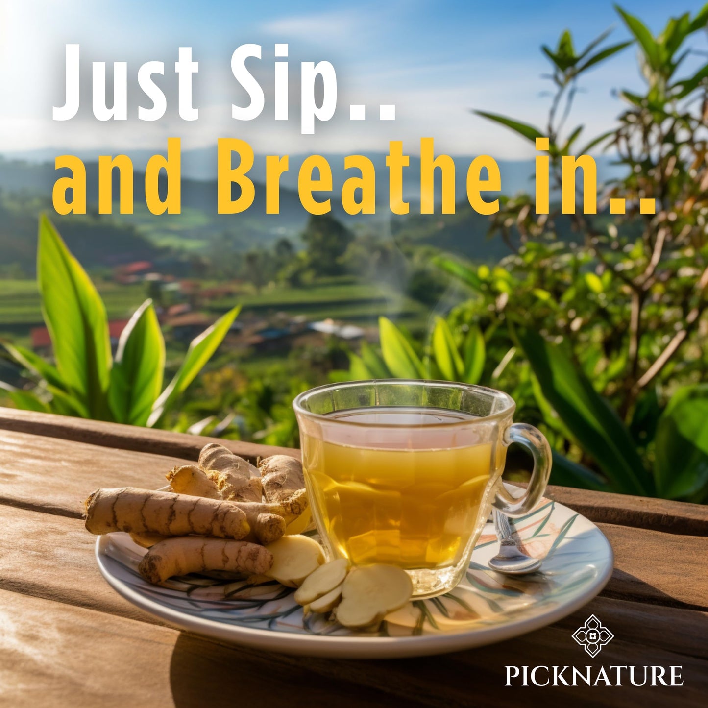 Picknature Usda Organic Happy Tummy Tea - Digestive Tea With Lemongrass, Turmeric, Ginger Tea Freshly Picked From Thailand| 60 T