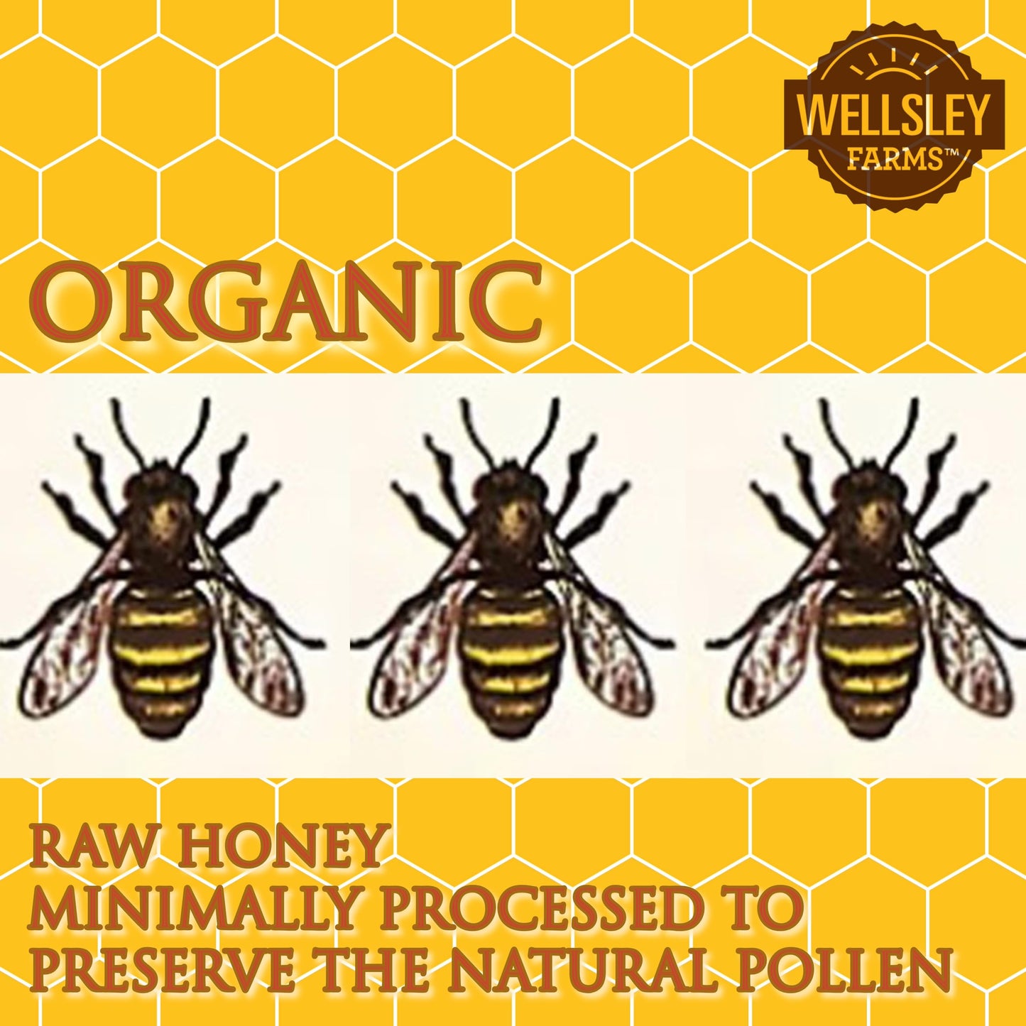 Wellsley Farms Organic Raw Honey, 100% Pure, Usda Certified - 24 Oz Bottle.