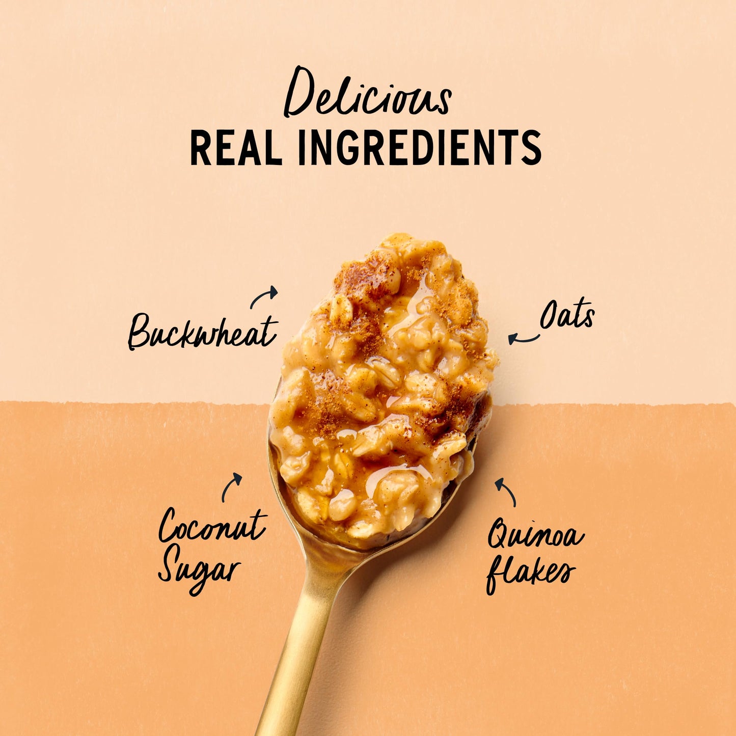 Purely Elizabeth Creamy & Hearty Protein Instant Oatmeal, Maple Cinnamon Roll, Vegan Friendly, Organic, Gluten Free & Non-GMO, 5