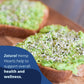 Hemp Hearts - 100% Pure Hemp Hearts - Raw Shelled Hemp Seeds (1 Pound)