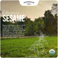 Organic Whole Sesame Tahini Paste 6.6lb Bucket - Unhulled, Stone-Ground, Unsalted, Nut-Free, Kosher - Pepperwood Organics