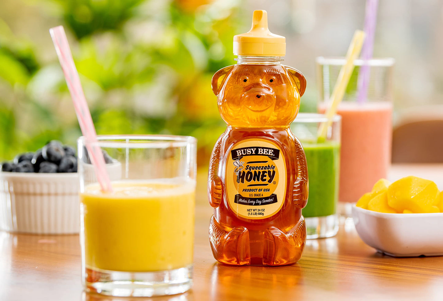 Busy Bee Honey, Grade A Filtered Honey, 24 Ounce, 1.5 Lb (Pack Of 3 Honey Bears)