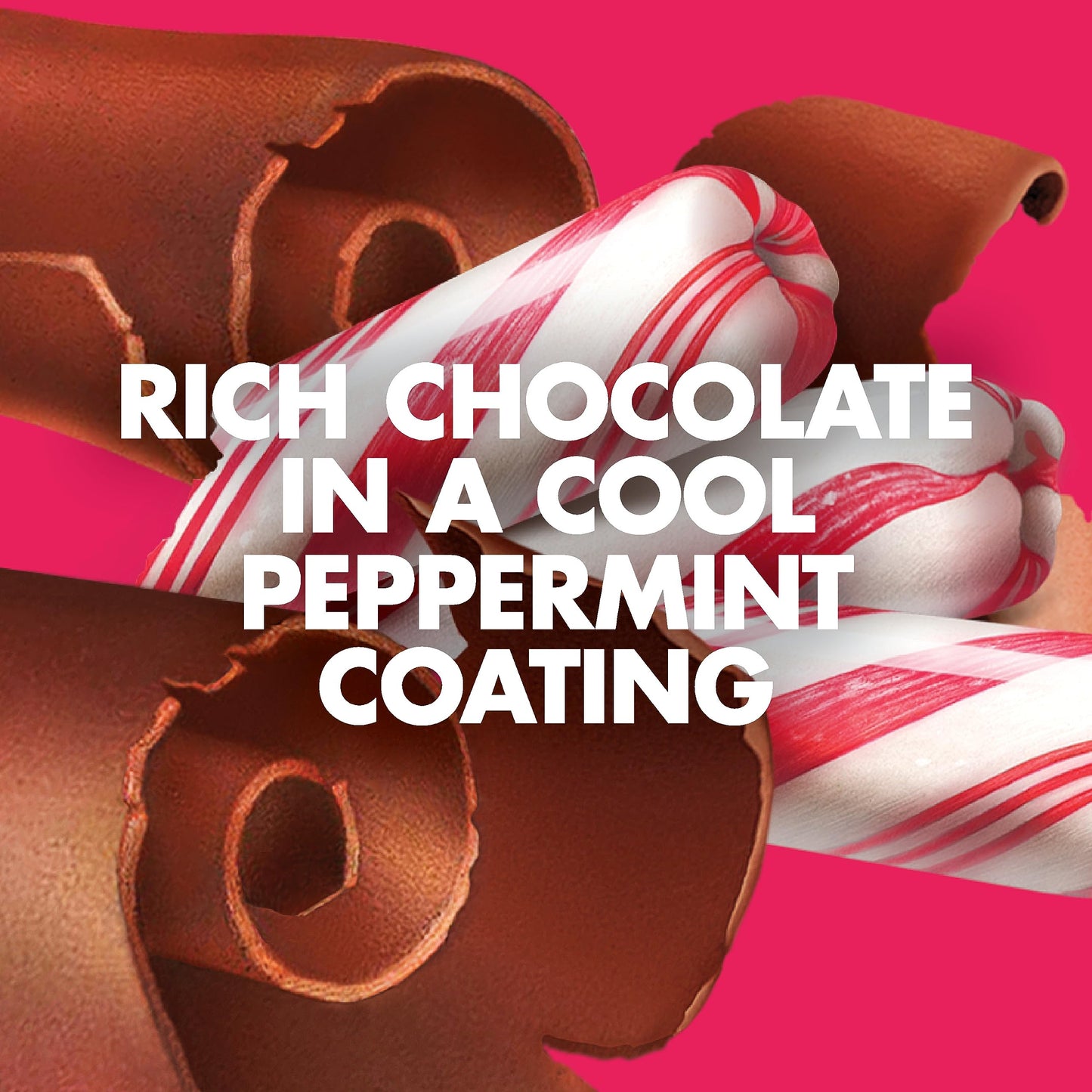 Luna Bar - Chocolate Peppermint Stick Flavor - Snack Bars - Non-Gmo - Gluten-Free Protein Bars - Made With Organic Oats (12 Pack