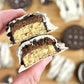 Fitcrunch Full Size Protein Bars, 6-Layer Baked Bar, 8G Of Sugar, Gluten Free & Soft Cake Core (12 Bars, Milk And Cookies)