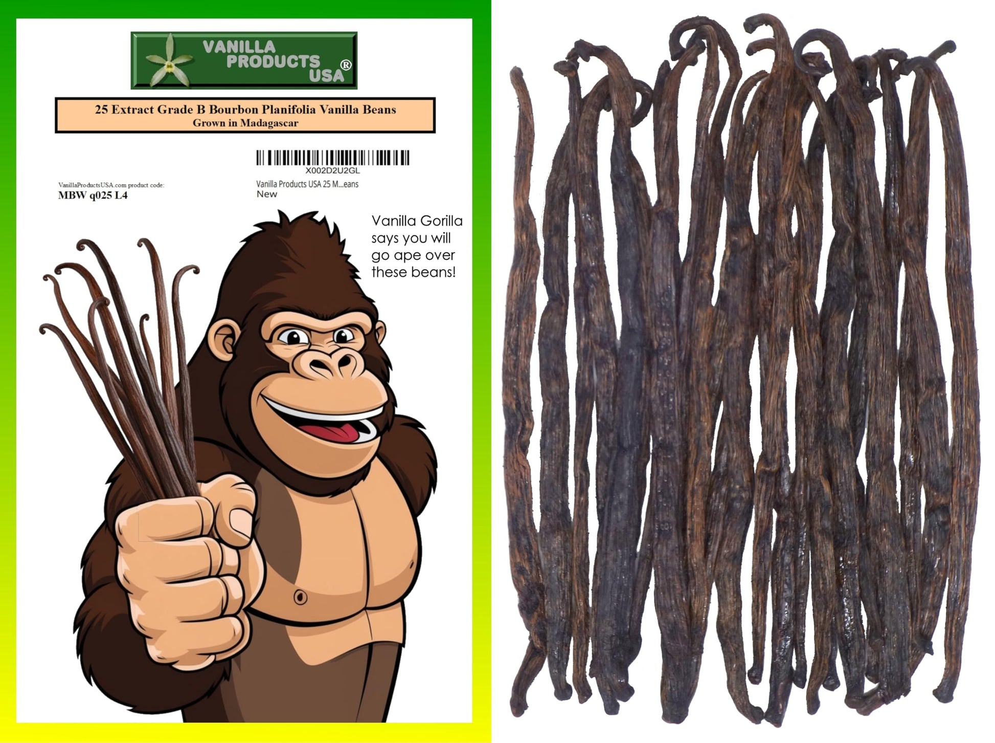 Vanilla Products USA Madagascar Bourbon Planifolia Grade B Vanilla Beans - 25 Count Pack