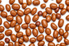 Delicious Chocolate Covered Peanuts By RawJoy