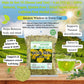 Hoja de Sen T? (Senna Leaf Tea) - 4 oz (113 g) - 100% Natural  Vegan  Gluten-Free - Dried Senna Leaves - Caffeine-Free Herbal Loose Leaf - by BexpertsUSA