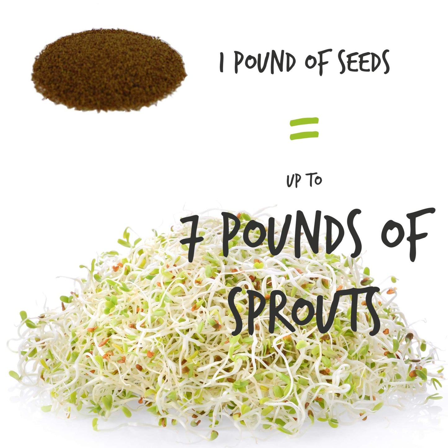 Handy Pantry Organic Alfalfa Seeds For Sprouting 1 Lb - Seed For Alfalfa Sprouts, Alfalfa Seeds Microgreens Sprouting Seeds And Sprout Seeds