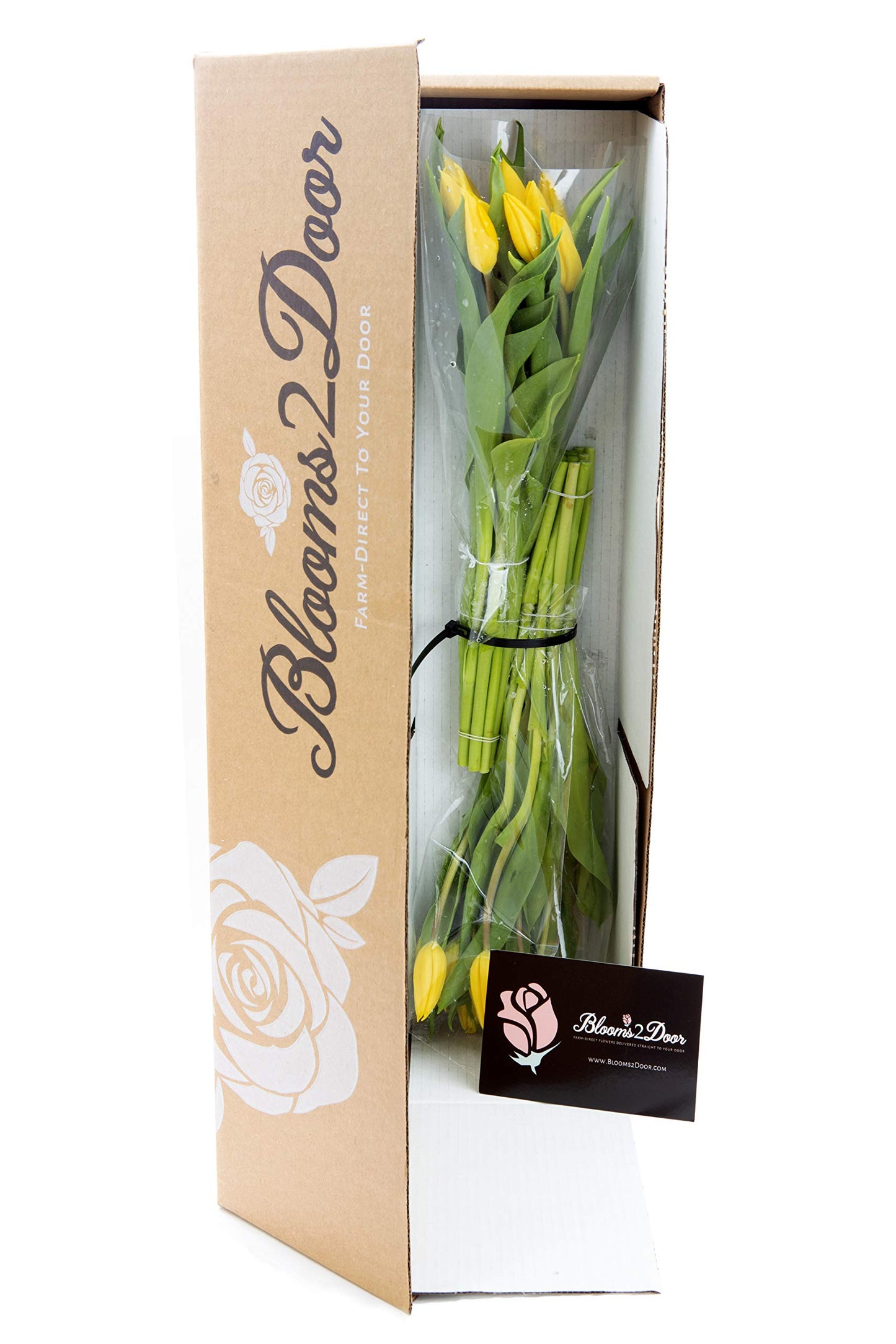 Blooms2Door Yellow Tulips - 20 Farm-Fresh Flowers - Fall Collection - Model KBDF1230-V999-A999