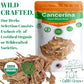 Cancerina Hierba Mexicana 4 Oz - 100% Natural Cancerina Tea Herbs 4 Oz, Calluna Vulgaris, Cancerina Herbs, Hierva Mexicana, Anah