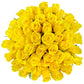 Benchmark Bouquets - 50 Stem Enhanced Yellow Roses (2 Bundles Of 25; Vase Not Included) - Fresh Flowers For Delivery - Gift For Graduation, Birthday, Anniversary, Sympathy, Get Well, Congratulations