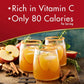 Alpine Spiced Cider Apple Flavor Drink Mix, 10 Pouches (Pack Of 1)