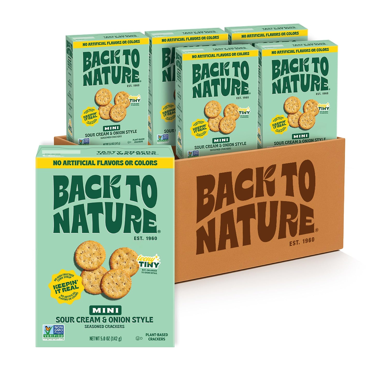 NEW Back to Nature Sour Cream & Onion Style Mini Seasoned Crackers, Non-GMO, Plant-Based Snack Cracker, Snack Happy, 5 oz Box (P