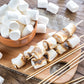 Case Pack 12 Pounds Bulk Campfire Marshmallows With (100) Roasting Sticks - (12) One Pound Bags Of Large Campfire Marshmallows W