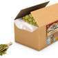 Rani Green Cardamom Pods Spice (Hari Elachi) 352Oz (22Lbs) 10Kg Bulk Box ~ All Natural | Vegan | Gluten Friendly | Non-Gmo | Pro