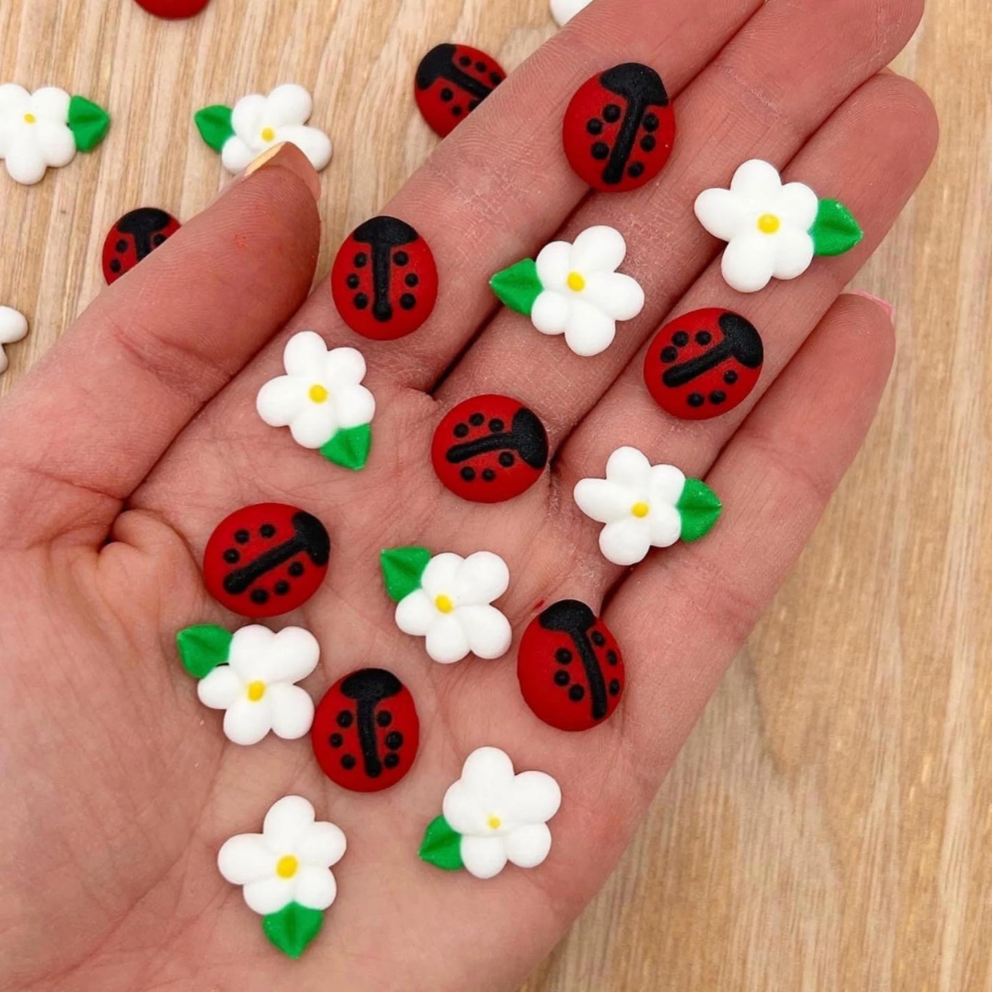 Icing Ladybugs And Daisies | 16 Edible Decorations | Mini Icing Ladybugs & White Sugar Daisies | Spring Cake Toppers | Simply Su