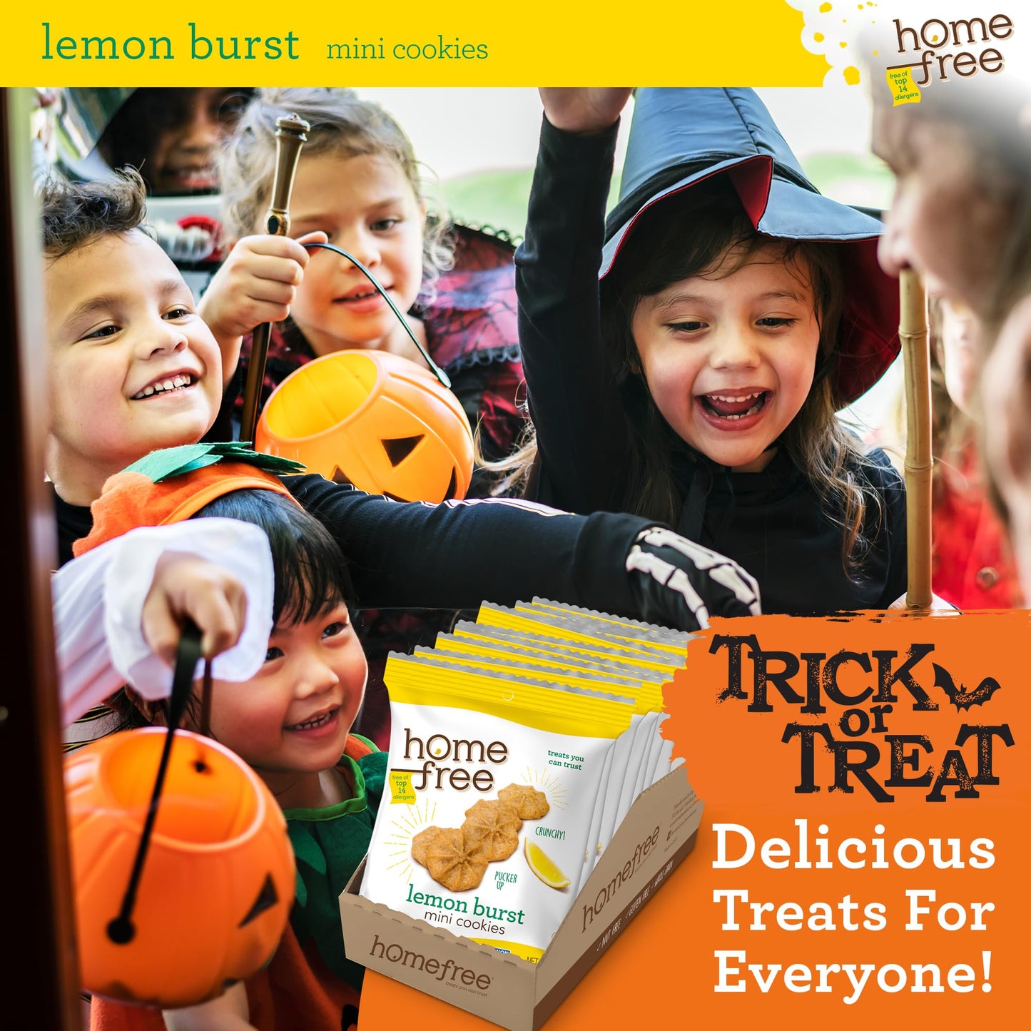 Homefree Treats You Can Trust Gluten Free Mini Cookies, Single Serve, Lemon Burst, 1.0 Ounce (Pack Of 10)…